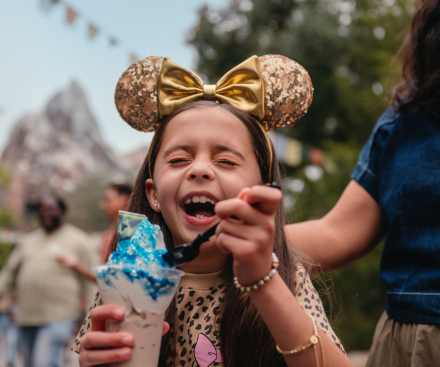 Walt Disney World Resort