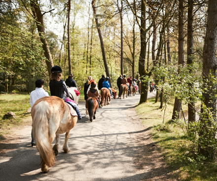 Pony Walk